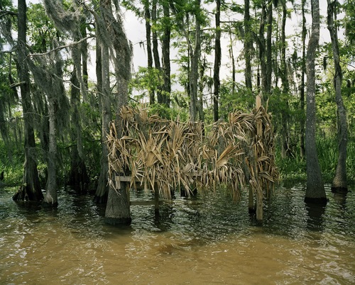 Moss Bluff Bay V Jane Deering Gallery Nell Campbell Archival Pigment Print