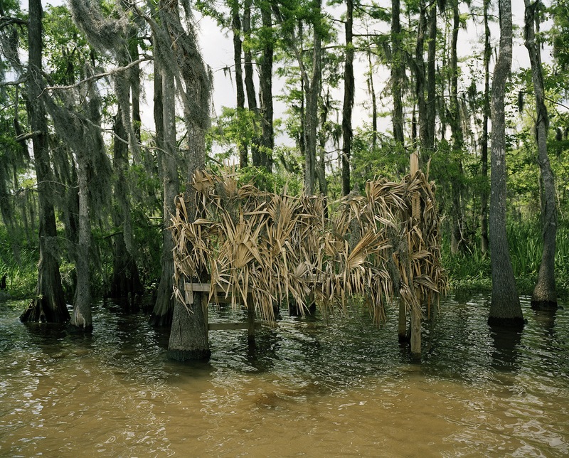 Moss Bluff Bay V Jane Deering Gallery Selected works by California artists Archival Pigment Print