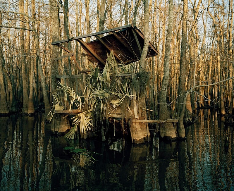 Berry Bay Jane Deering Gallery Selected works by California artists Archival Pigment Print