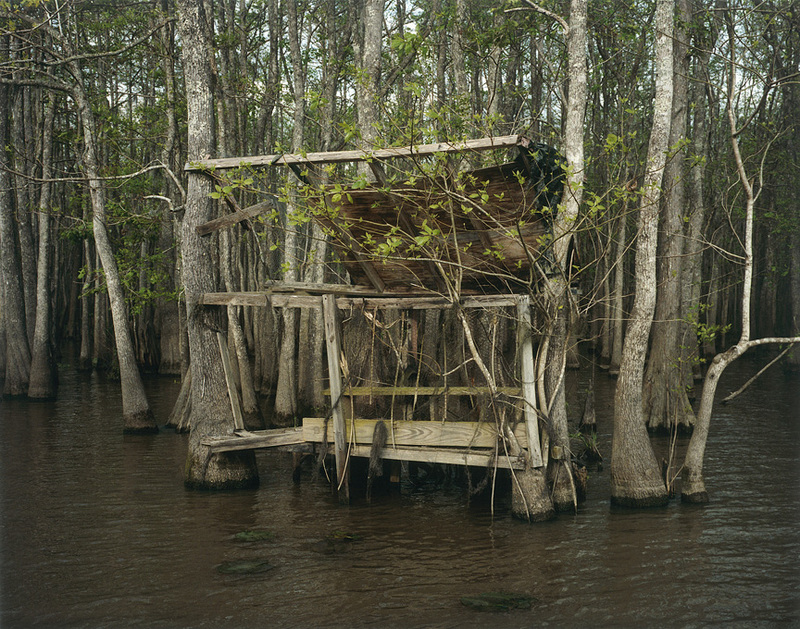 Berry Bay Jane Deering Gallery Selected works by California artists Archival Pigment Print