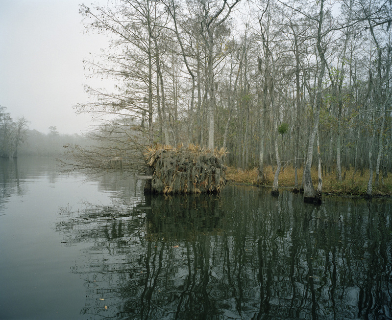 Dan's Bay I Jane Deering Gallery Selected works by California artists Archival Pigment Print