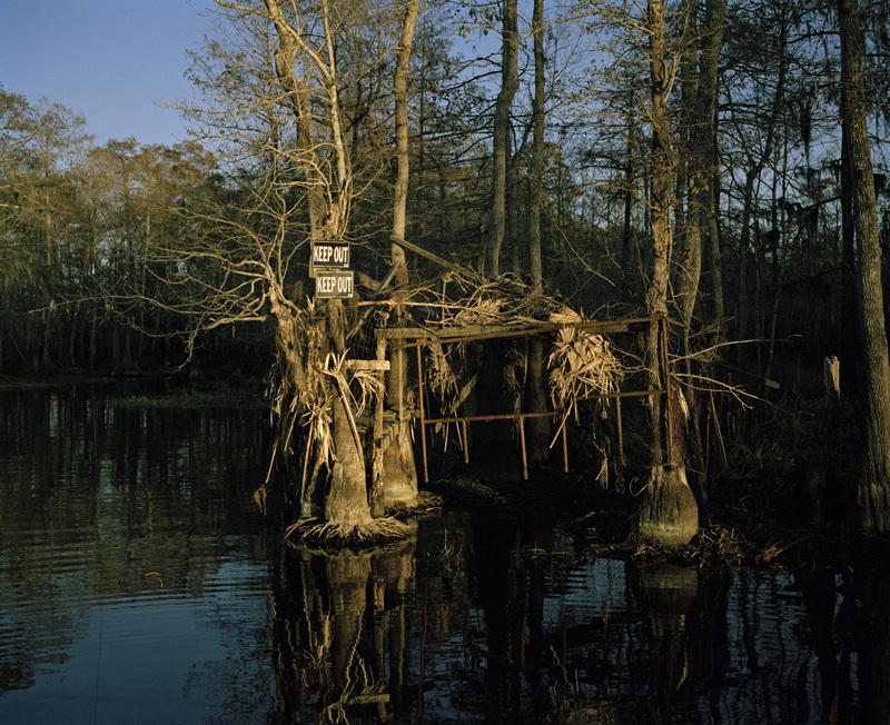 Moss Bluff Bay II Jane Deering Gallery Selected works by California artists Archival Pigment Print