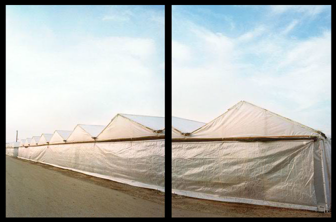 Commercial Greenhouses, Carpinteria CA Jane Deering Gallery Selected works by California artists Digital C-print (diptych)