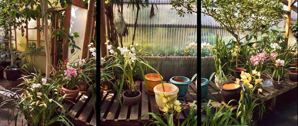 Orchids, Malibu Nursery Jane Deering Gallery Selected works by California artists Digital C-print (triptych)