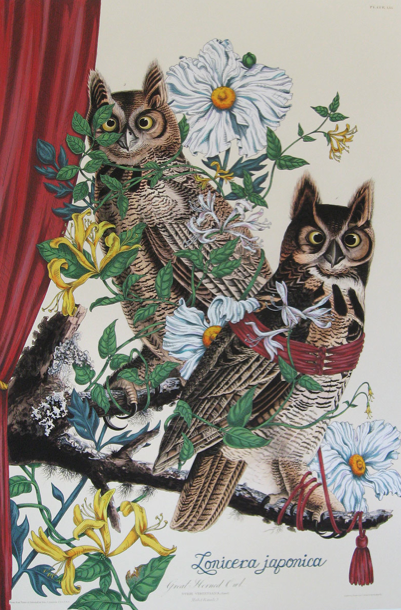 Lonicera japonica Jane Deering Gallery Selected works by California artists Acrylic and ink over Audubon print