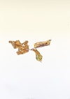 3rd of September 2014 Jane Deering Gallery Exhibitions Watercolor on paper