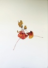 28th of October 2014 Jane Deering Gallery Exhibitions Watercolor on paper