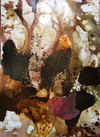 New England Leaves, 3rd of September Jane Deering Gallery Exhibitions Oil and acrylic on paper