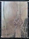 Knarly Tree 07 Jane Deering Gallery Exhibitions Dry Pigment, Graphite, and Gouache on Stonehenge paper