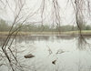 Concord River Jane Deering Gallery Archived Exhibitions Archival Pigment Print on Hahnemuhle Rag Paper