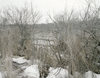 Kaveski Farm Conservation Land Jane Deering Gallery Archived Exhibitions Archival Pigment Print on Hahnemuhle Rag Paper