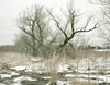 Kaveski Farm Conservation Land Jane Deering Gallery Archived Exhibitions Archival Pigment Print on Hahnemuhle Rag Paper
