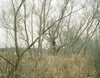Kaveski Farm Conservation Land Jane Deering Gallery Archived Exhibitions Archival Pigment Print on Hahnemuhle Rag Paper