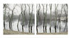 Concord RIver Jane Deering Gallery Archived Exhibitions Archival Pigment Print on Epson Presentation Mat Paper