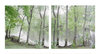 Concord River, Looking South Jane Deering Gallery Archived Exhibitions Archival Pigment Print on Epson Presentation Mat Paper
