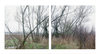 Kaveski Farm Conservation Land Jane Deering Gallery Archived Exhibitions Archival Pigment Print on Epson Presentation Mat Paper