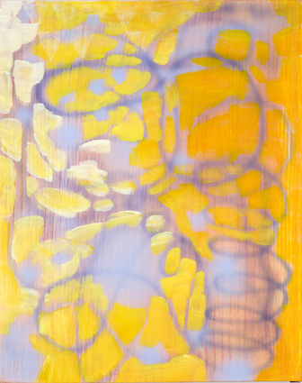 Spherical Aberration JANET OLNEY 2013 acrylic on canvas