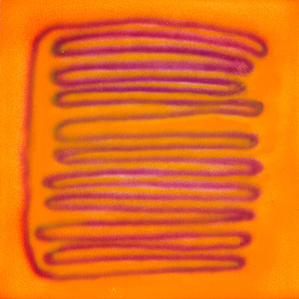 Interspatial Comb JANET OLNEY 2013 acrylic on canvas
