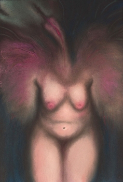 JAN HARRISON Early Paintings 1980's pastel and colorpencil on coverblack paper
