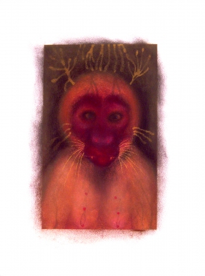 JAN HARRISON The Corridor Series - Primates/Birds 2009-2011 Pastel, charcoal, and ink on rag paper