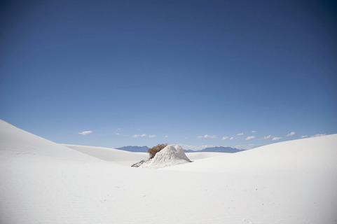 Crown of Thoughts<br>White Sands, New Mexico 2014<br>