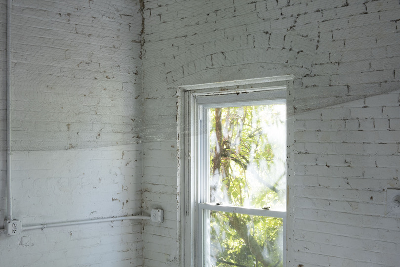 Web of life, 2015 Installation view 2015 Installation view, approximately 9x9ft