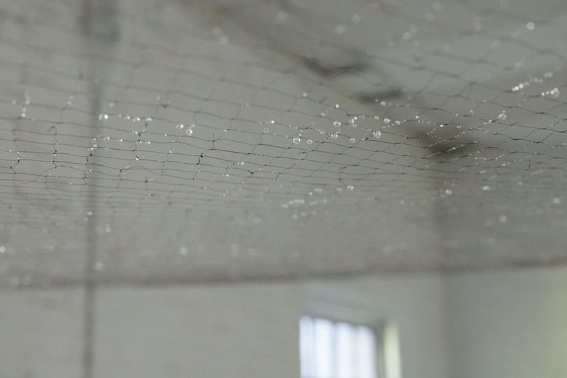 Web of life, 2015 Installation view 2015 Installation view, approximately 9x9ft