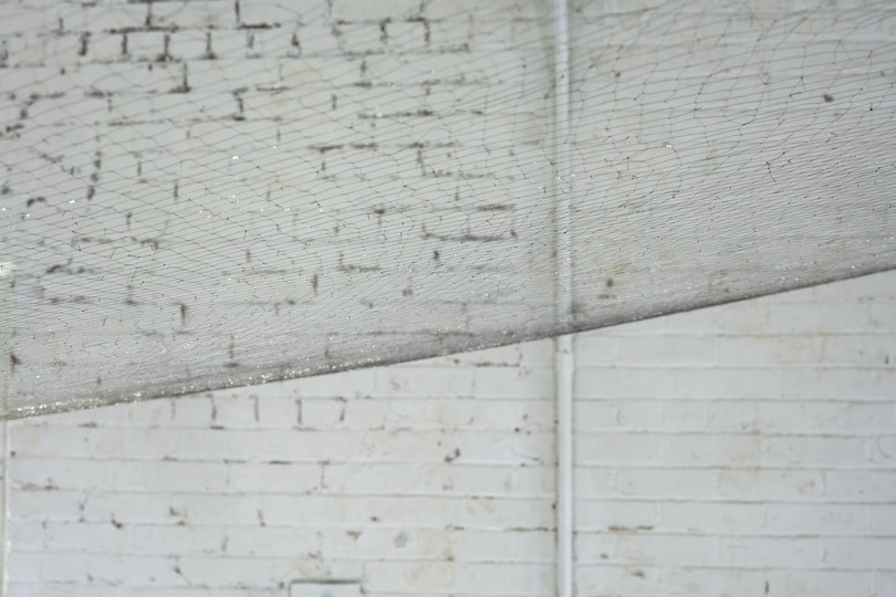 Web of life, 2015 Installation view 2015 Installation view, approximately 9x9ft