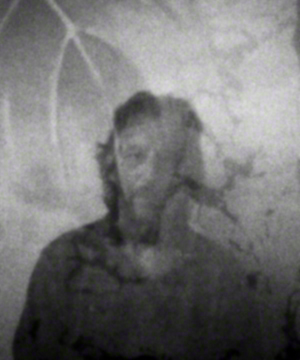Janine Brown