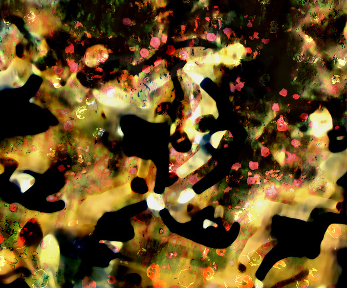 KLIMT MEDITATION - OPERNBALL Klimt Meditations - Opernball Photography, Photo Transfer