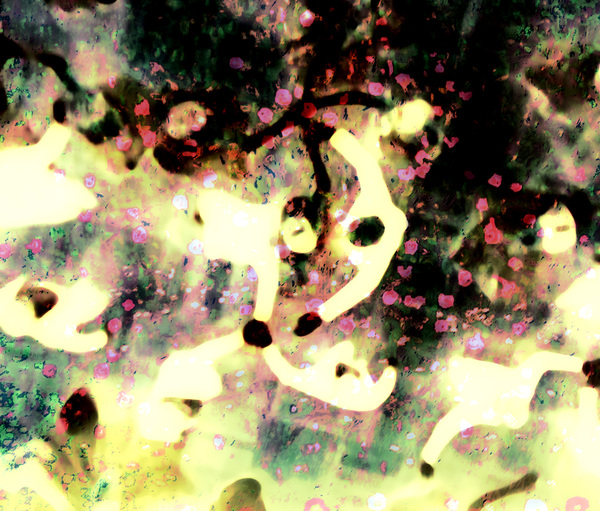 KLIMT MEDITATION - OPERNBALL Klimt Meditations - Opernball Photography, Photo Transfer