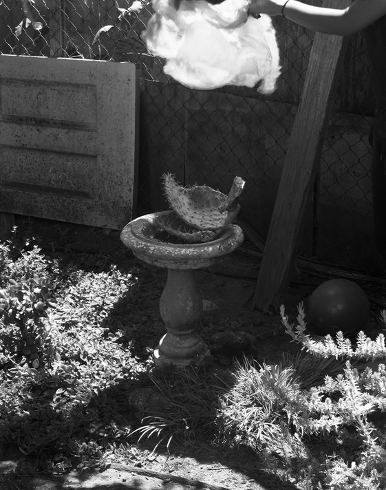 Magic Bird Bath Jennifer Leigh Wright Song Backyard Magic 4x5 Black and White Film