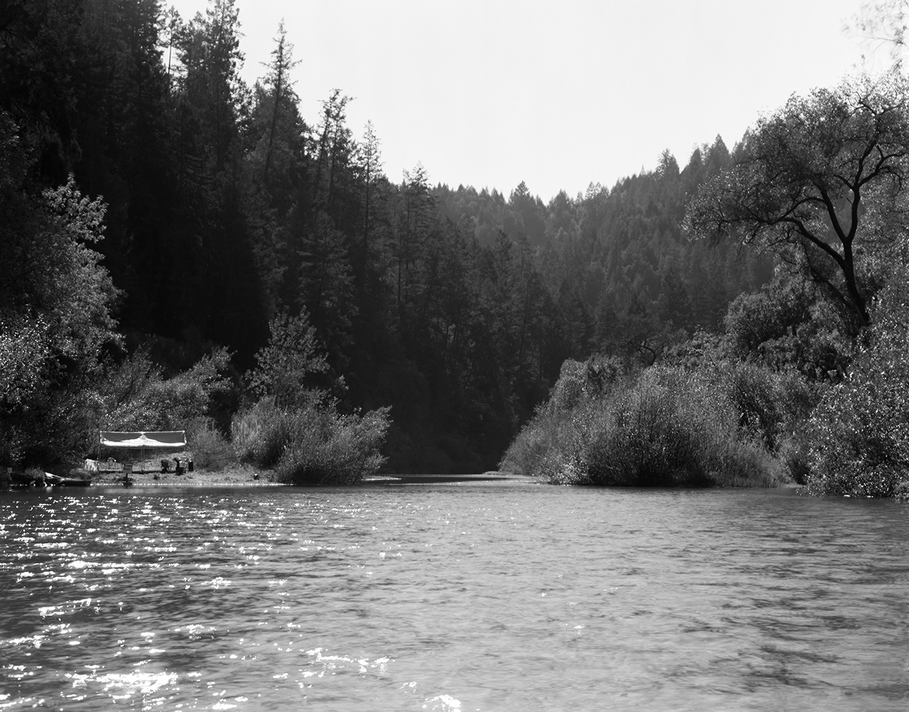 Russian River- Canopy Jennifer Leigh Wright Song Backyard Magic 4x5 Black and White Film