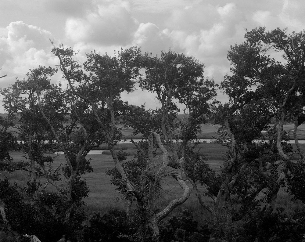 North Carolina, The Sound Jennifer Leigh Wright Song Landscapes