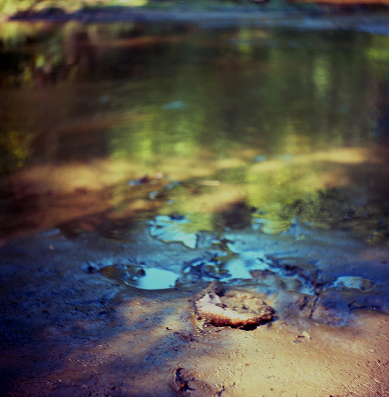 Landscapes, Runners and Hikers (Image #4) Jennifer Leigh Wright Song Landscapes