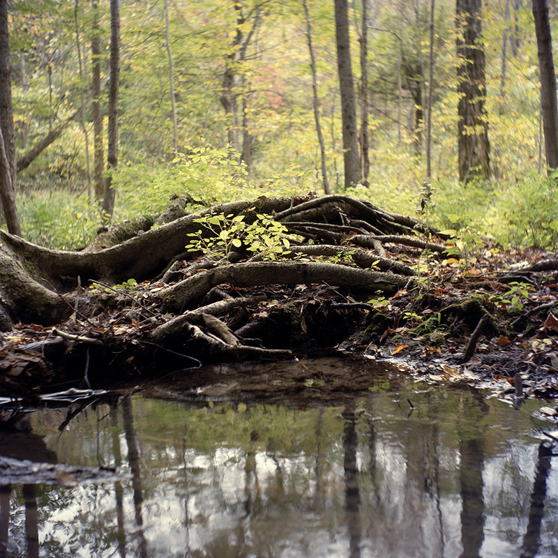 Green Lakes, NY Jennifer Leigh Wright Song Landscapes