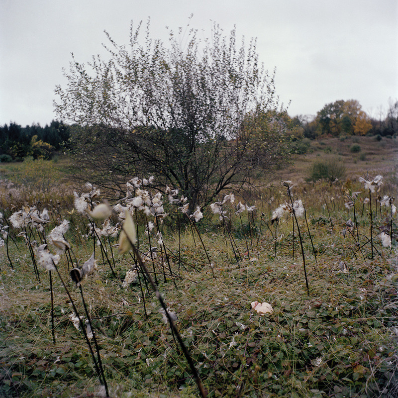 Landscapes, Runners and Hikers (Image #7) Jennifer Leigh Wright Song Landscapes