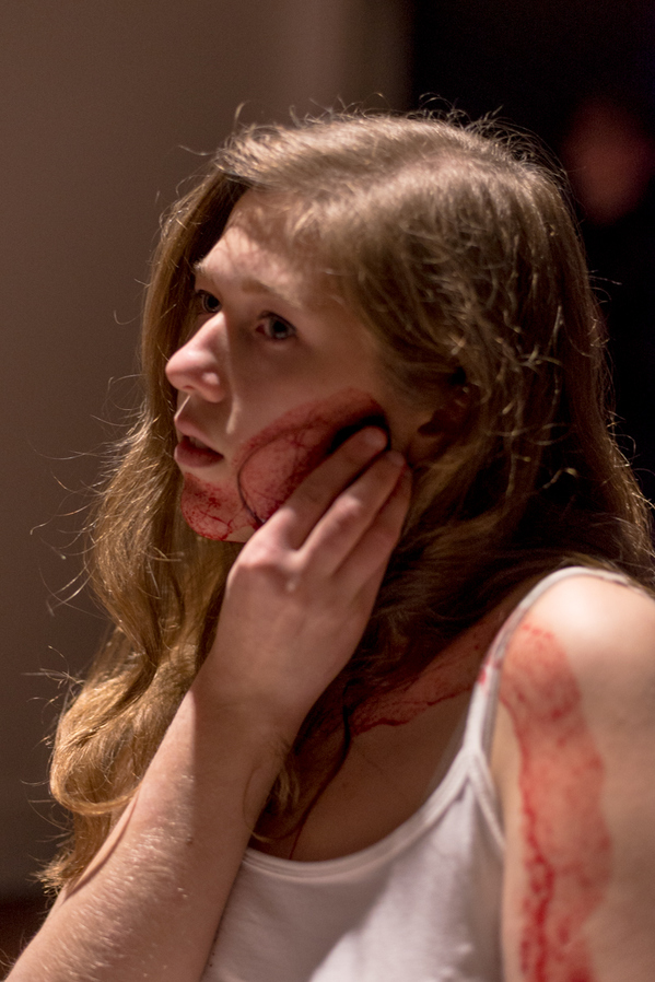 Blood Cube Jennifer Leigh Wright Song Feminist Artwork