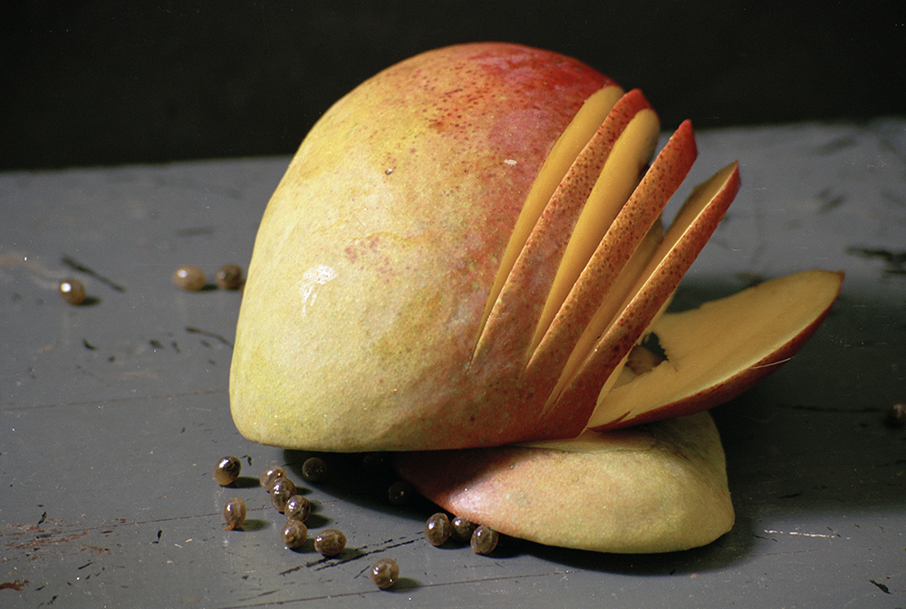 Mango and Papaya Seeds Jennifer Leigh Wright Song Early Artwork