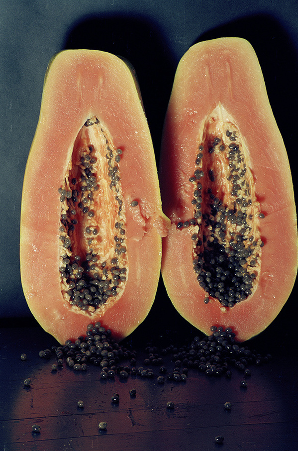 Papayas Jennifer Leigh Wright Song Early Artwork