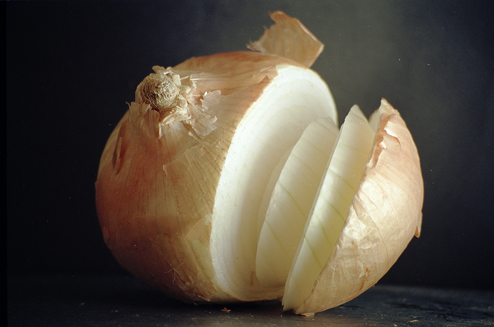 Onion Jennifer Leigh Wright Song Early Artwork