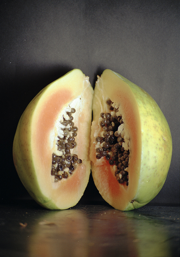Papaya Jennifer Leigh Wright Song Early Artwork