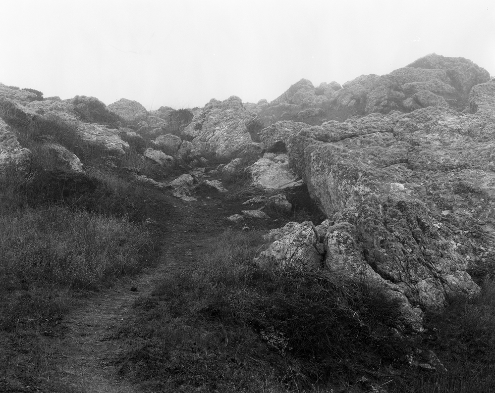 Jennifer Leigh Wright Song Landscapes 4x5 bw film Jennifer Leigh Wright Song Landscapes 4x5 bw film