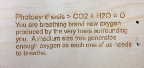Air Writer label s i t e specific engraved wood