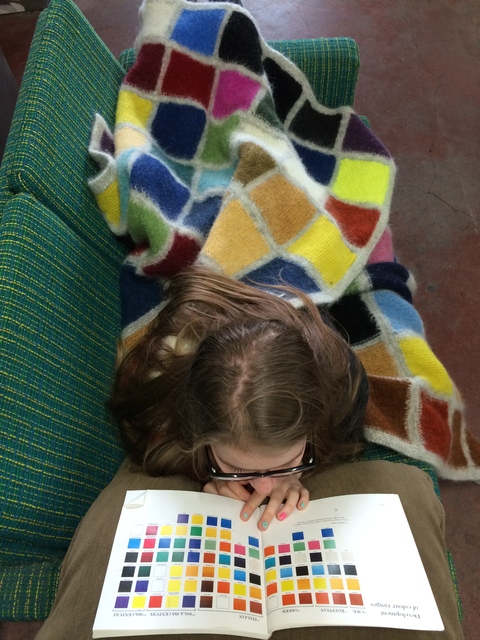 Development of Colour Ranges through the Ages 2015 Development of Color Ranges through the Ages Icelandic wool knit, felted + worn