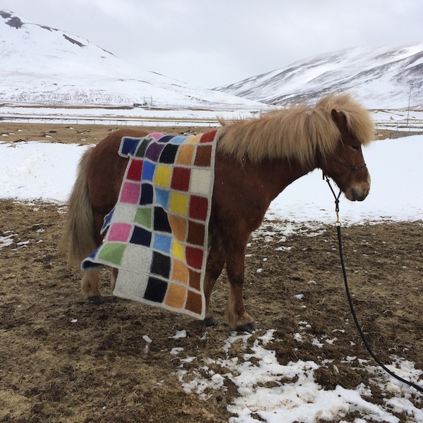 Development of Colour Ranges through the Ages 2015 Development of Color Ranges through the Ages Icelandic wool knit, felted + worn