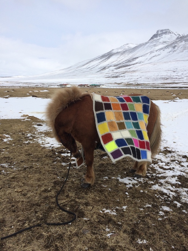 Development of Colour Ranges through the Ages 2015 Development of Color Ranges through the Ages Icelandic wool knit, felted + worn