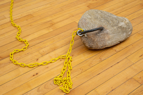 After Carel Fabritius' The Goldfinch (1654), detail p a i n t i n g s granite boulder with steel chain