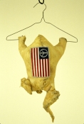 Jeph Gurecka Sculpture/Taxidermy Taxidermied Purdue chicken, patch, clothes hanger, string