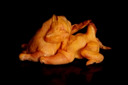 Jeph Gurecka Sculpture/Taxidermy taxidermied chickens, thread, pillow fluff